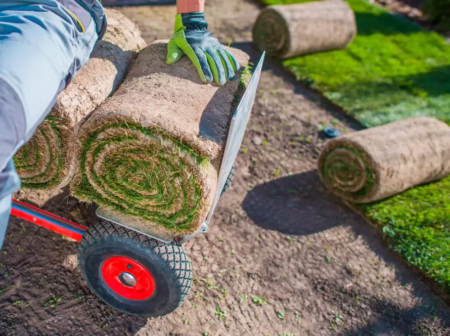 Alcora Reformas Madrid - Operario realizando trabajos de jardinería en vivienda
